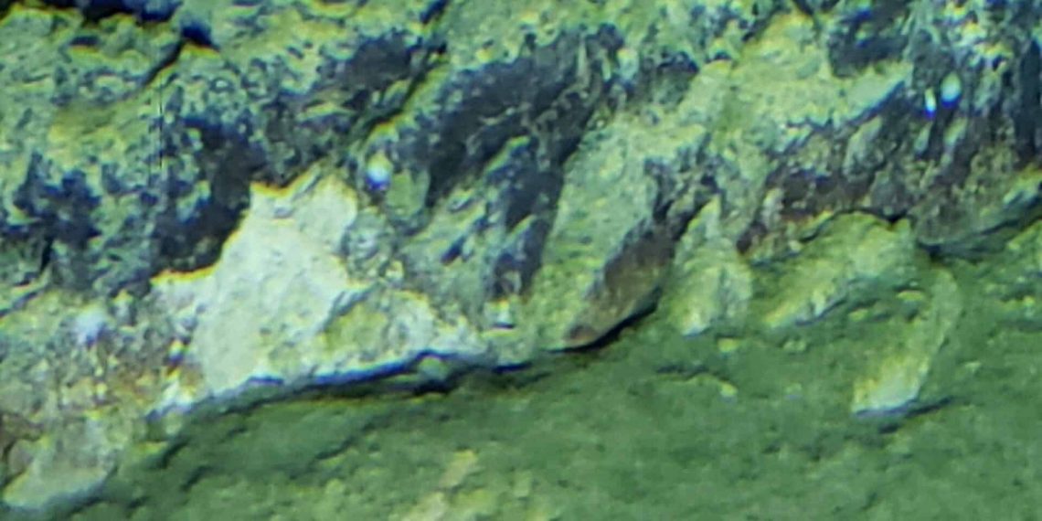 Científicos descubren lo que hay 8000 metros debajo de la fosa de Atacama