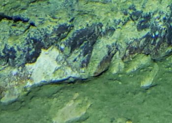 Científicos descubren lo que hay 8000 metros debajo de la fosa de Atacama