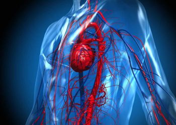 Qué es la miocarditis, por qué la asocian con las vacunas contra el Covid y por qué no es alarmante