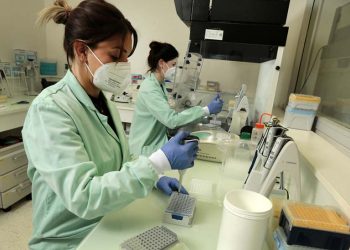 Estudian células para diagnosticar alzhéimer