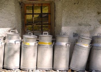 Armando Chacín: Producción de leche en el país se mantiene en 4 millones de litros diarios