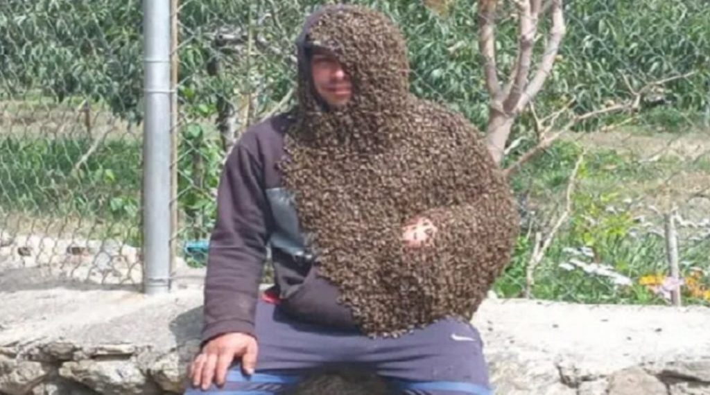 Dickson Sulbarán Briceño, El Hombre Abeja de Trujillo