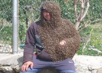 Dickson Sulbarán Briceño, El Hombre Abeja de Trujillo
