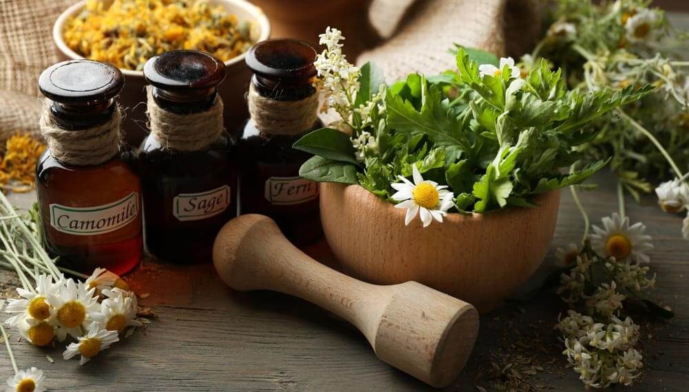 Costa Rica aprueba el consumo de la hierba medicinal