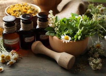 Costa Rica aprueba el consumo de la hierba medicinal