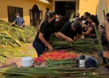 SEMANA SANTA: Llegaron las Palmas para el Domingo de Ramos a la Basílica