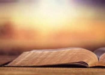 Excelencia de la sabiduría