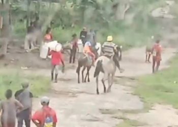 ¡QUÉ BARBARIDAD! Yukpas armados roban ganado en finca de Machiques (+VIDEO)