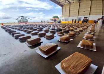 FANB incauta más de 2.000 panelas de marihuana en el Estado Bolívar