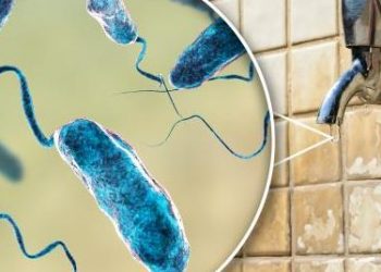  Sellan finca en España tras detectarse el primer caso autóctono de cólera desde 1979