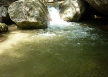 NIVEL DE AGUA EN EL RIO LIMÓN SIGUE SUBIENDO: Alcaldía de Mara se mantiene alerta