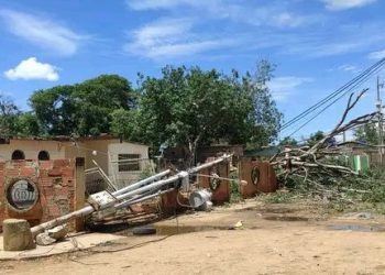 Los vecinos del sector CUJICITO claman ayuda a CORPOELEC ZULIA, se les cayeron dos postes y quedaron SIN LUZ desde el domingo