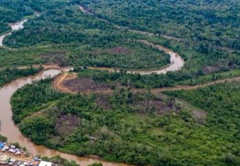 Madre e hija venezolanas mueren ahogadas en la selva del Darién