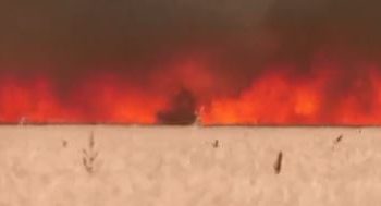 POR LA OLA DE CALOR: Hombre envuelto en llamas en España (+VIDEO ESPELUZNANTE)