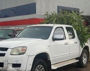 ALCALDIA DE MARACAIBO: Vea al primer MULTA’O por lanzar desechos (+VIDEO)