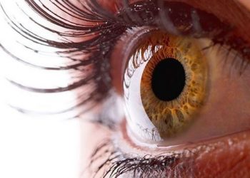 Primer caso de trasplante de córnea con aplicación de células madre en América Latina se realiza en Venezuela