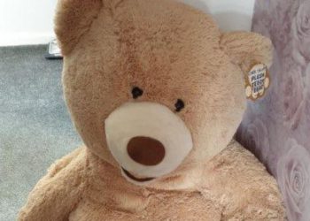 El insólito escondite de un ladrón de autos que se volvió viral: se ocultó en un oso de peluche