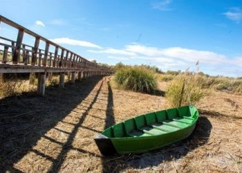 Europa registra la mayor sequía en 500 años, según estudio