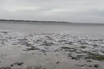 ¡VIDEO SORPRENDENTE! Mira lo que está causando Ian en Tampa