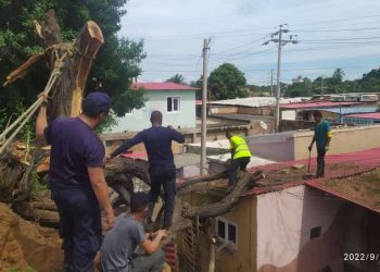 ÁRBOLES IMPACTAN SOBRE UNA CASA EN EL BARRIO ROYAL: Los Bomberos de Maracaibo cumplen con su deber (+FOTOS)