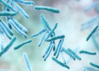 Una BACTERIA COME CARNE causa pánico en Florida: van casi cien personas afectadas y sigue en aumento