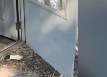 ¡VIDEO DANTESCO!  La policía entró en una casa, olfateó fuerte olor a amoníaco y lo que encontraron los dejó fríos