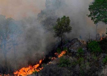Trujillo en alerta! Bomberos registran hasta 15 incendios al día