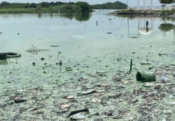 ¡CONTAMINADAMENTE ASOMBROSO! Así amanece EL LAGO DE MARACAIBO (+Fotos y Videos)