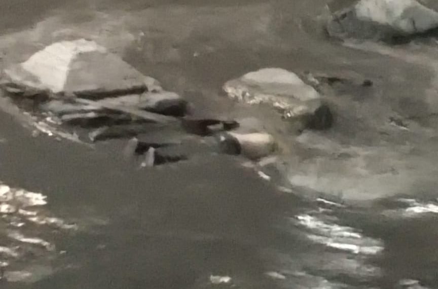 Localizan cadáver en el Rio Guaire