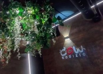 EN VIDEO: Llegó a Maracaibo COW RODIZIO ¡Único en su estilo!