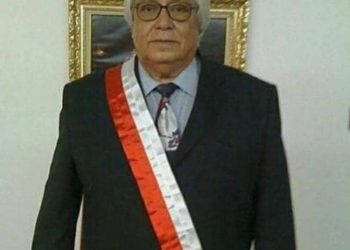 MURIÓ WANEGER CASTILLO FINOL: El Caballo de Troya